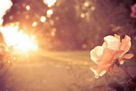 第四章《旋风少年之守门下》